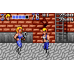 Double Dragon